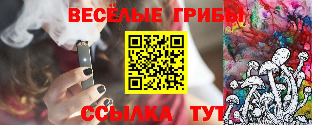 Псилоцибиновые грибы мицелий Добрянка